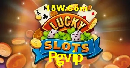 Experiência VIP Pgvip